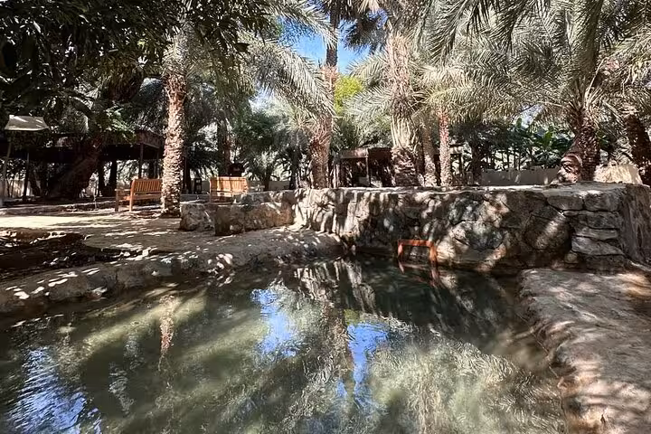 Palm oasis pool at Hatta Heritage Village, tranquil nature stop on private full-day Hatta Dam and lake tour