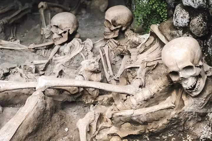 Experience the haunting archaeological site of Herculaneum with preserved skeletons, including lunch and tickets.