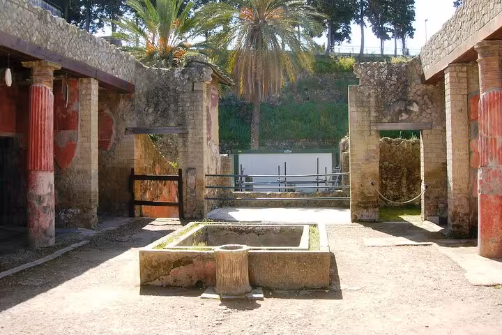 Explore the ancient ruins and preserved frescoes on a skip-the-line guided tour of Herculaneum.