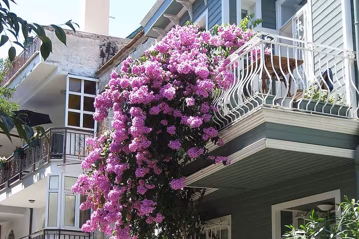 Heybeliada house balcony covered in purple bougainvillea, charming view on Istanbul Princes Islands tour