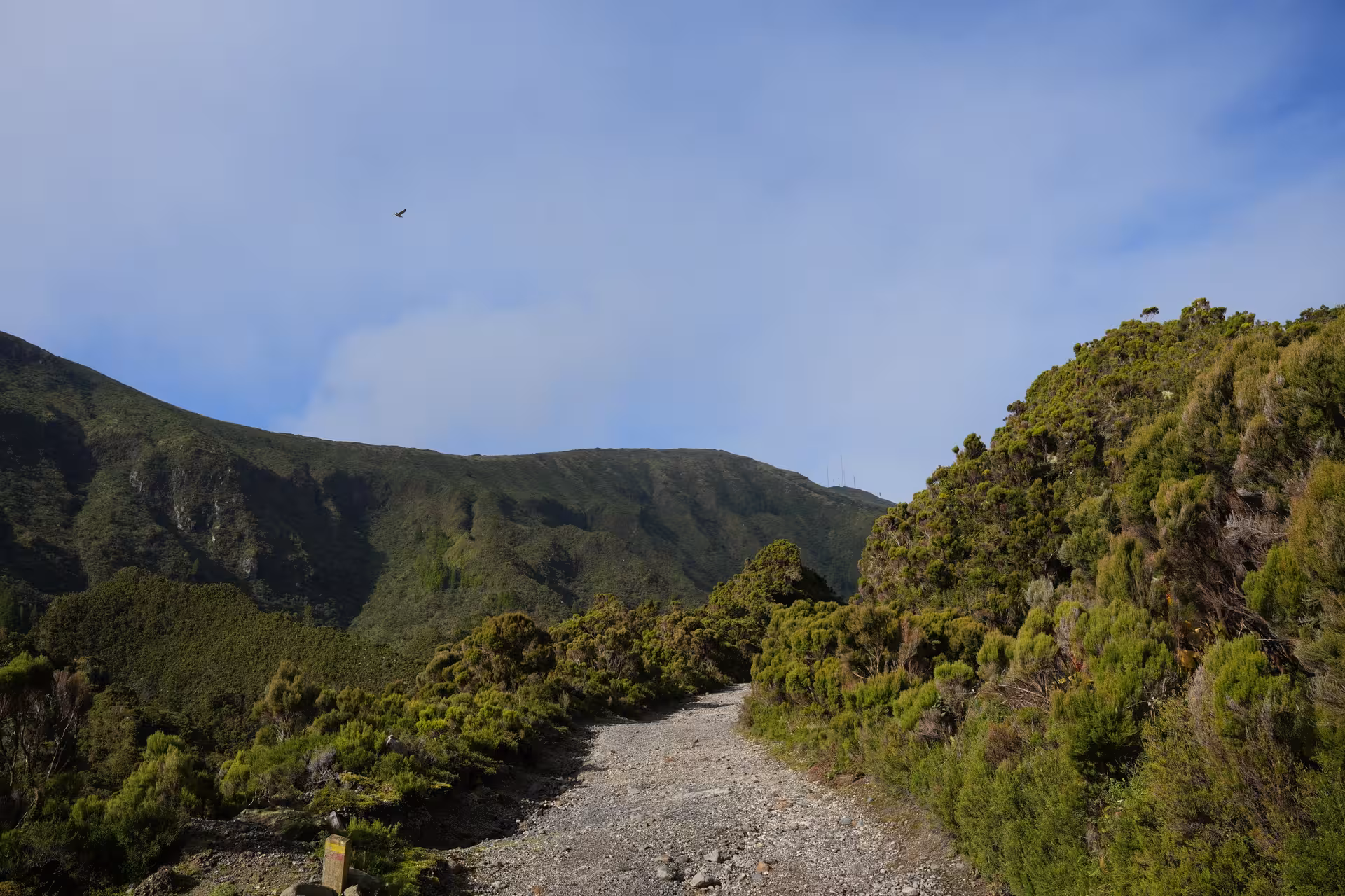 Rocky trail through green hills on São Miguel, Azores, part of the HIKE Lagoa do Fogo route