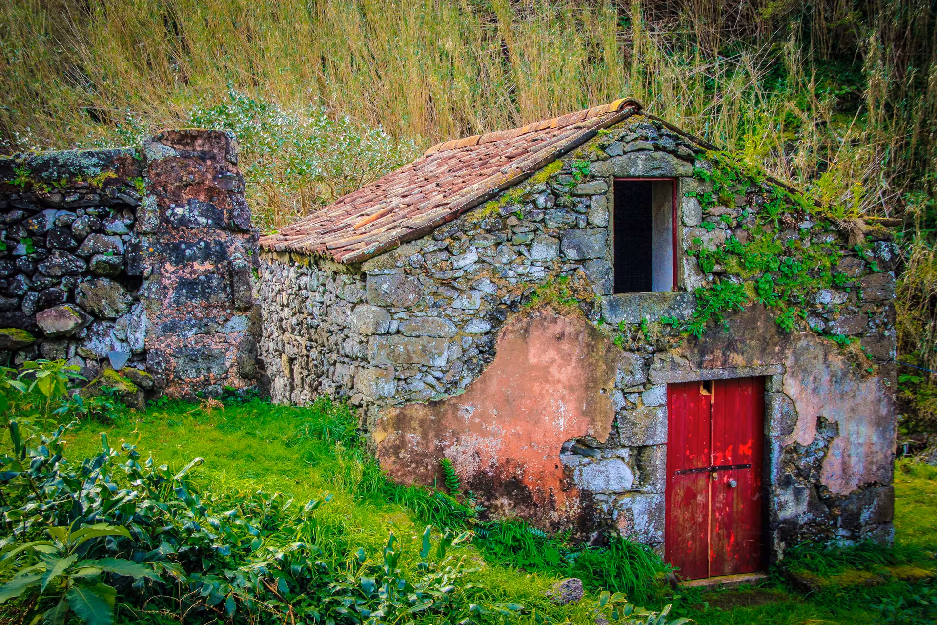 Traditional stone cottage with red door in lush valley scenery on the HIKE Ribeira Funda - Maia route