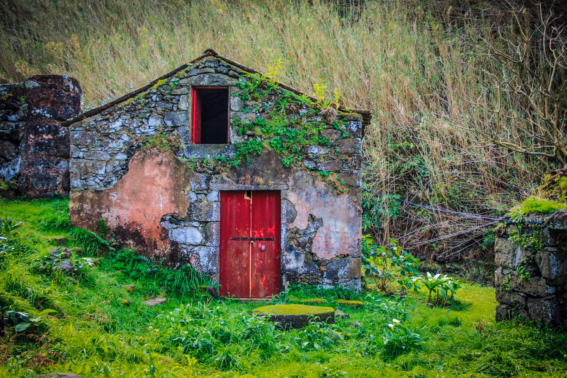 Old stone cottage with red door in lush Ribeira Funda valley on the HIKE Ribeira Funda - Maia trail