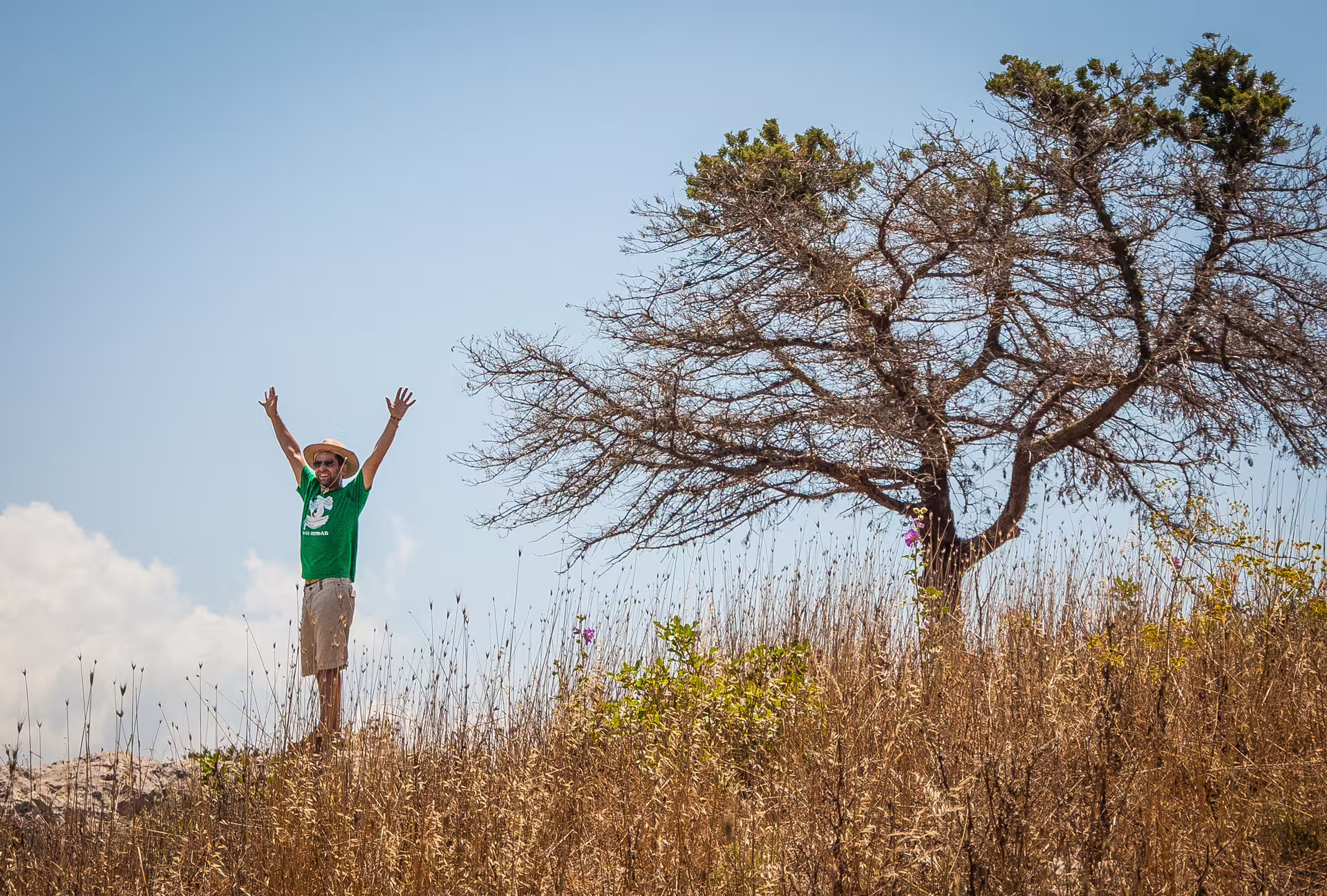 Hiker on Navarino Bay trail in Messinia, Greece, standing on a hilltop beside a windswept tree