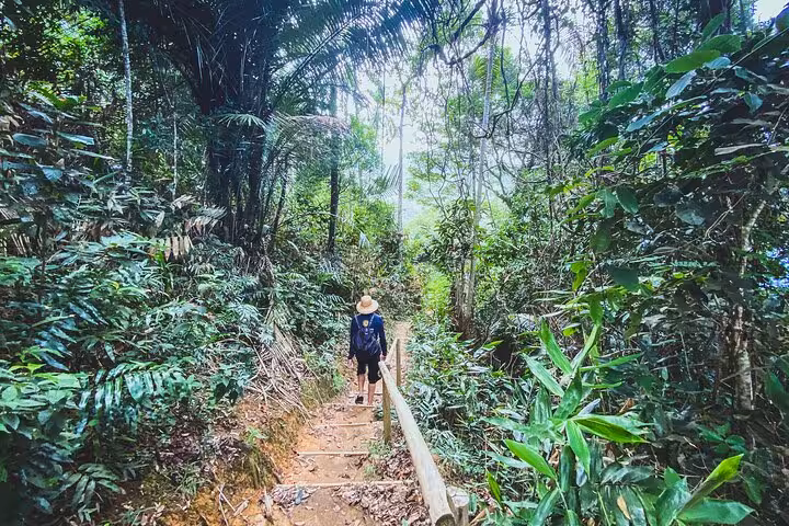 Hiker exploring lush rainforest trails leading to Sono Beach, highlighting the adventure aspect of Paraty Tours.