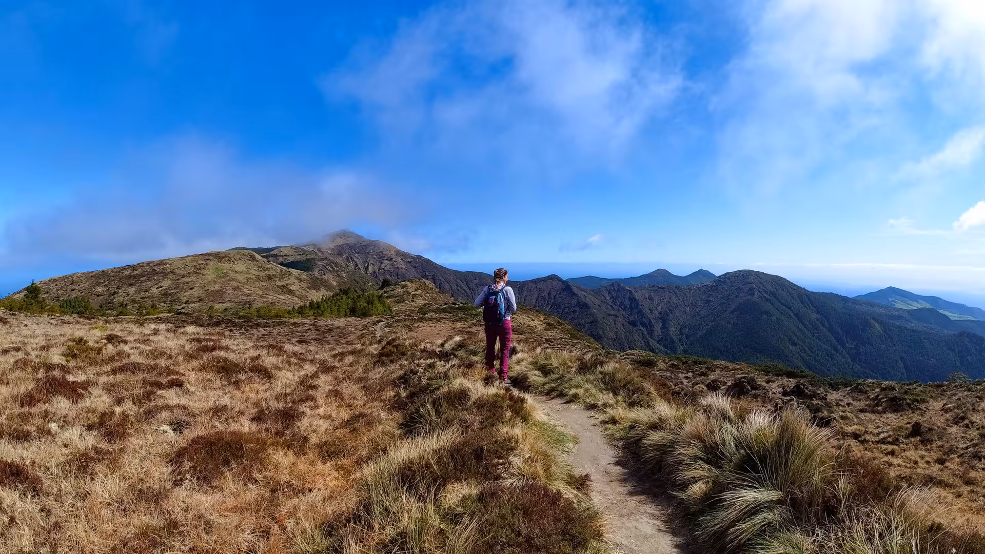 Hiker on mountain trail in São Miguel, Azores, on Seven Cities to Ferraria guided hike with ocean views