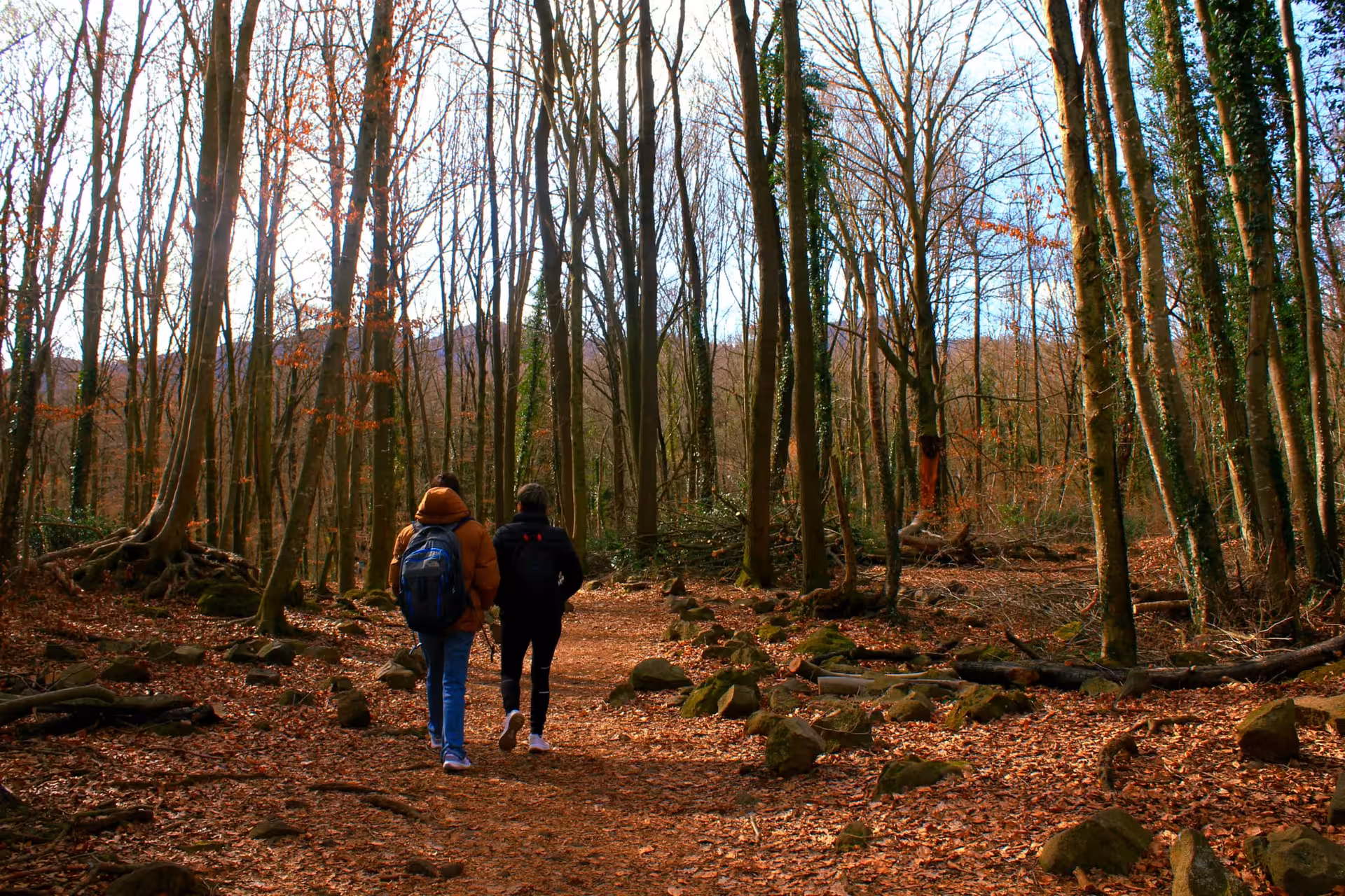 Hikers on a forest trail in Garrotxa Volcanic Zone Natural Park, Catalonia, on a private excursion