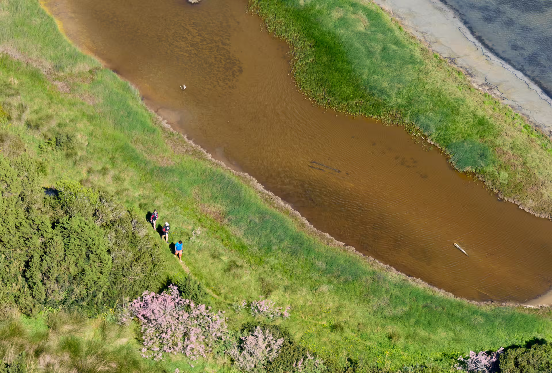Hikers walking beside Gialova Lagoon wetlands near Navarino Bay, Messinia, on a guided nature hike