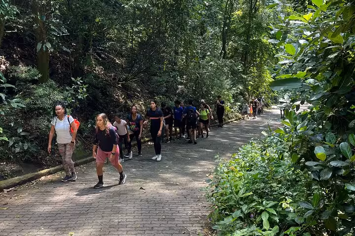 Group of hikers enjoying a lush trail in Tijuca Forest, surrounded by vibrant greenery and natural beauty.