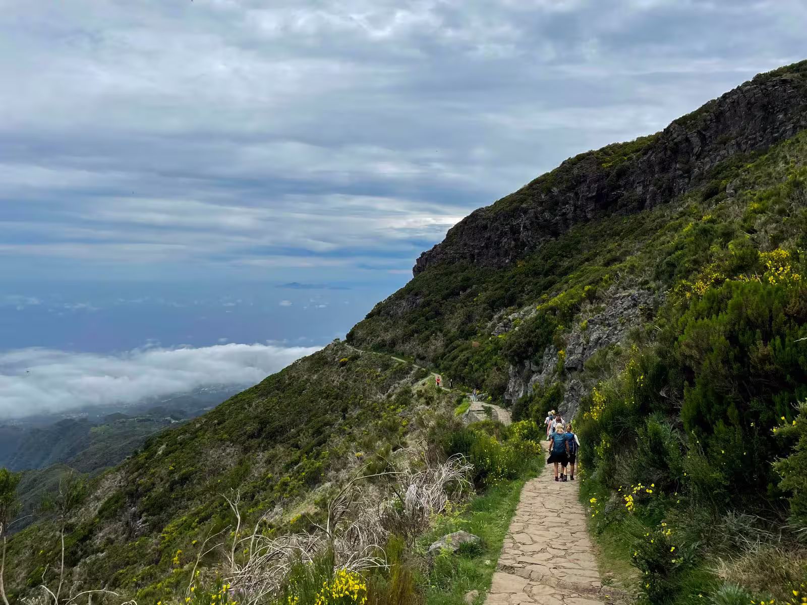 Hikers on a lush mountain trail, surrounded by vibrant greenery and overlooking breathtaking cloud-covered valleys.