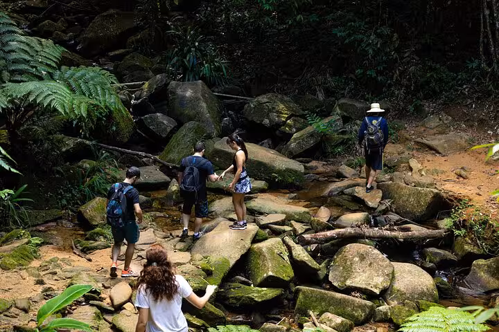 Group of hikers crossing rocky terrain in lush forest on adventure tour to Sono Beach, Paraty.