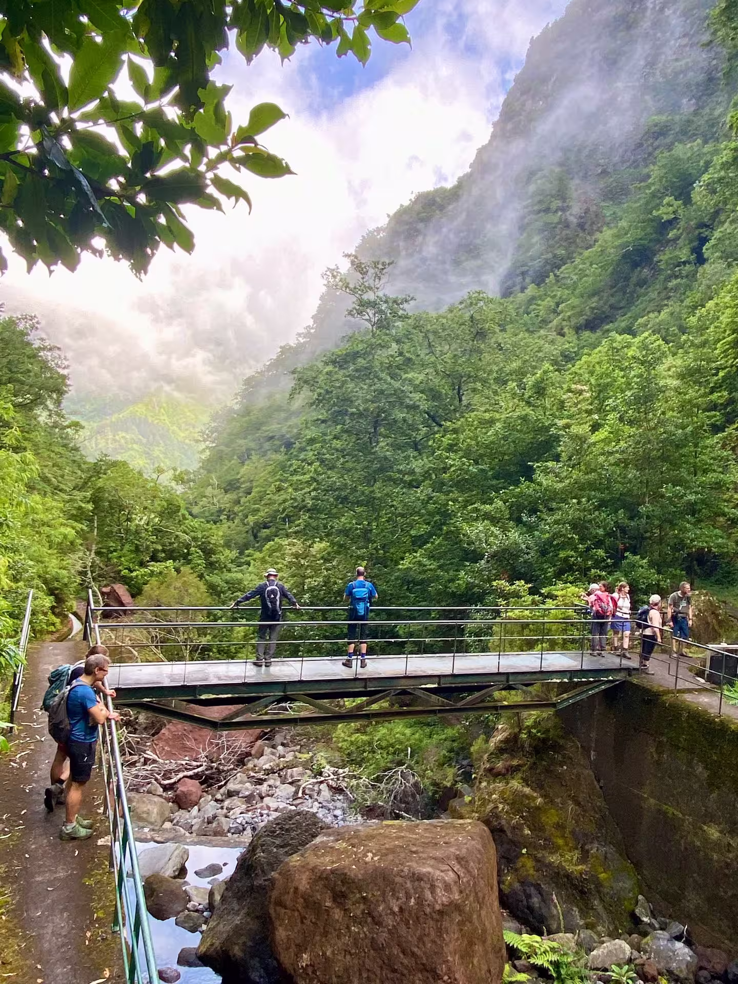 Group of hikers on a scenic bridge amidst dense greenery and misty mountains, ideal for nature exploration.