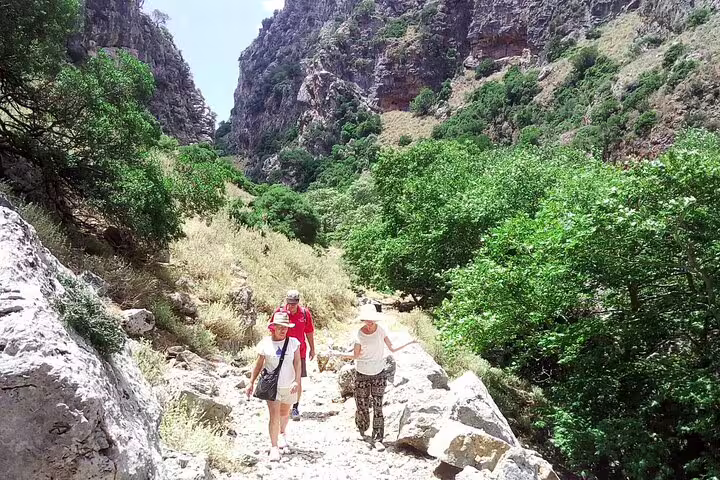 Hikers exploring the verdant trails of Sirikari Gorge with towering cliffs and vibrant greenery on a private tour.