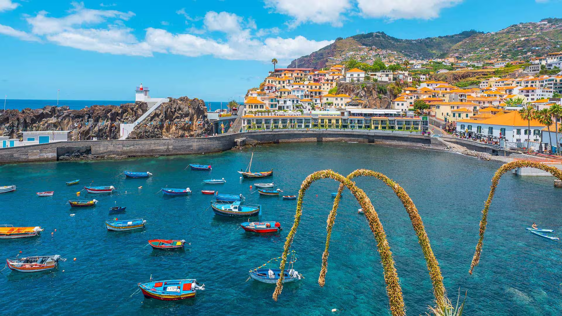 Vibrant coastal village with colorful boats on the harbor, ideal for the holy wine tour half-day experience.
