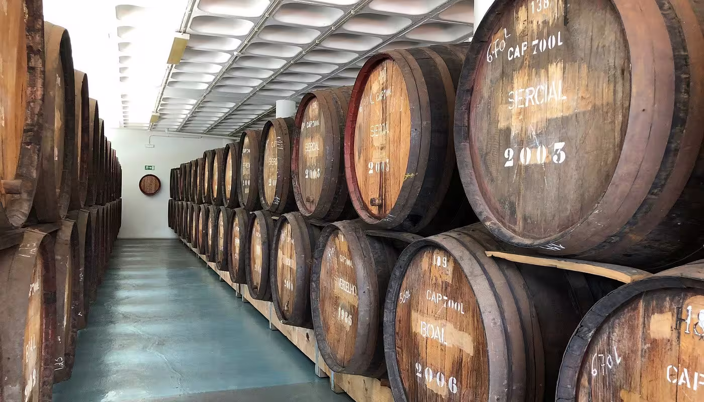 Rows of vintage wine barrels aging in a dimly lit cellar, perfect for the holy wine half-day tour experience.