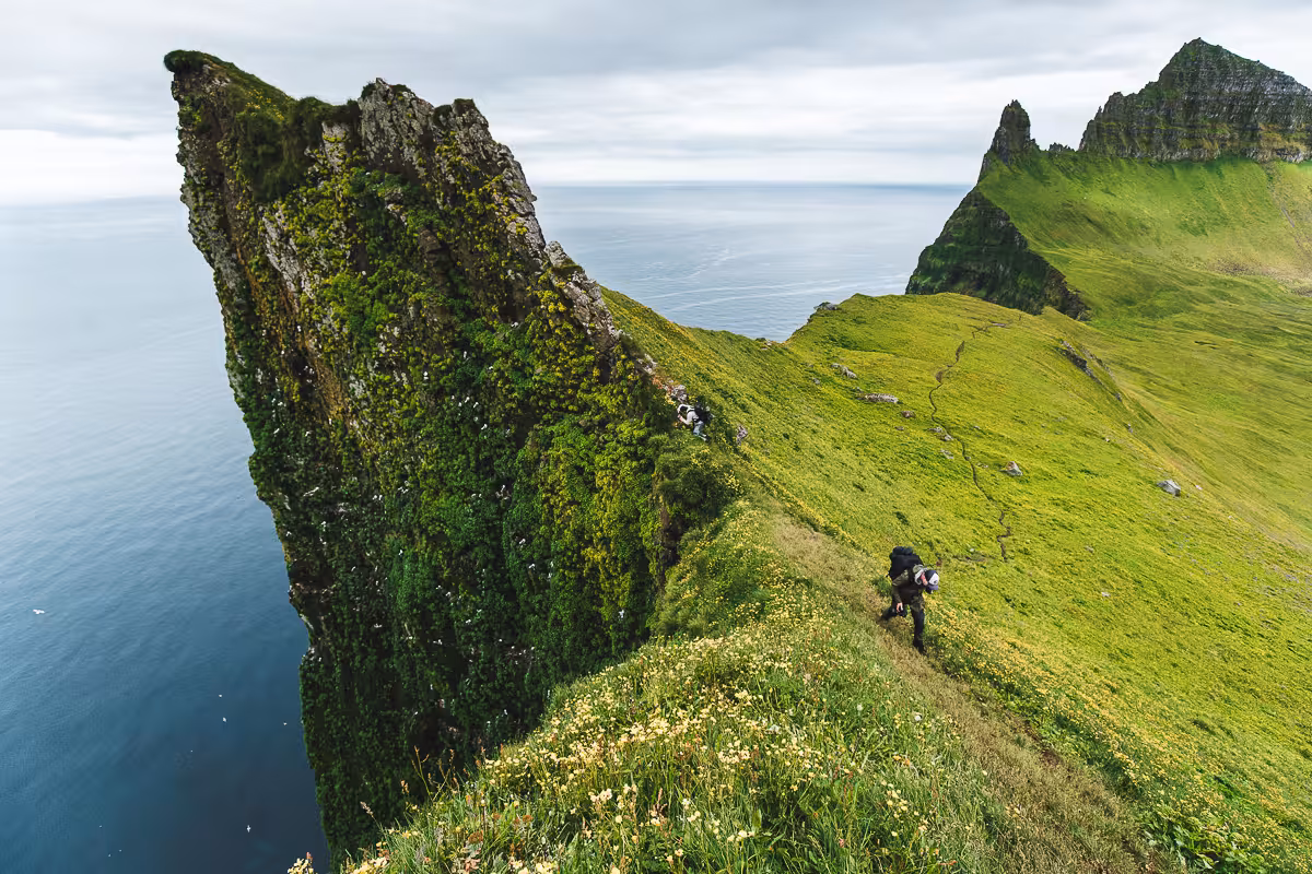 Hiker on Hornvík day tour ridge above dramatic sea cliffs in Hornstrandir Nature Reserve, Westfjords Iceland