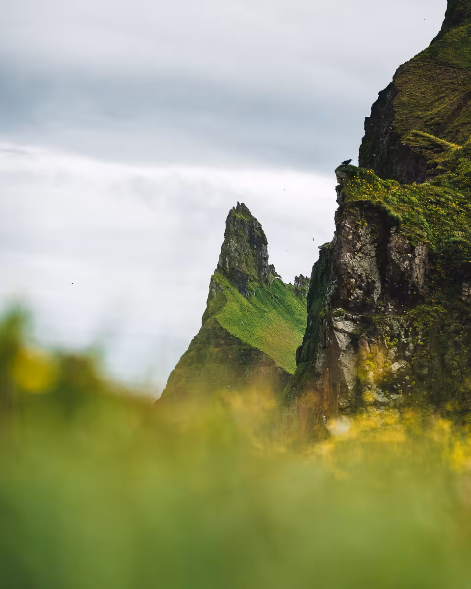 Jagged sea cliff and green peak in Hornvík, Westfjords Iceland, scenic viewpoint on day tour hike