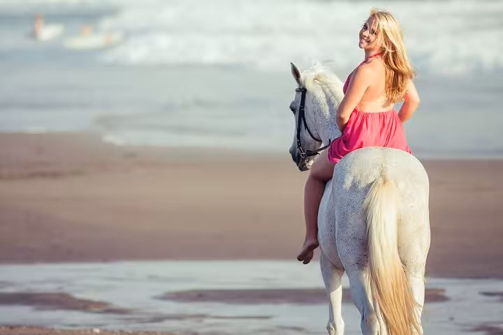Beach horseback ride at sunset with white horse, Sharm El Sheikh seaside tour with round-trip transfer