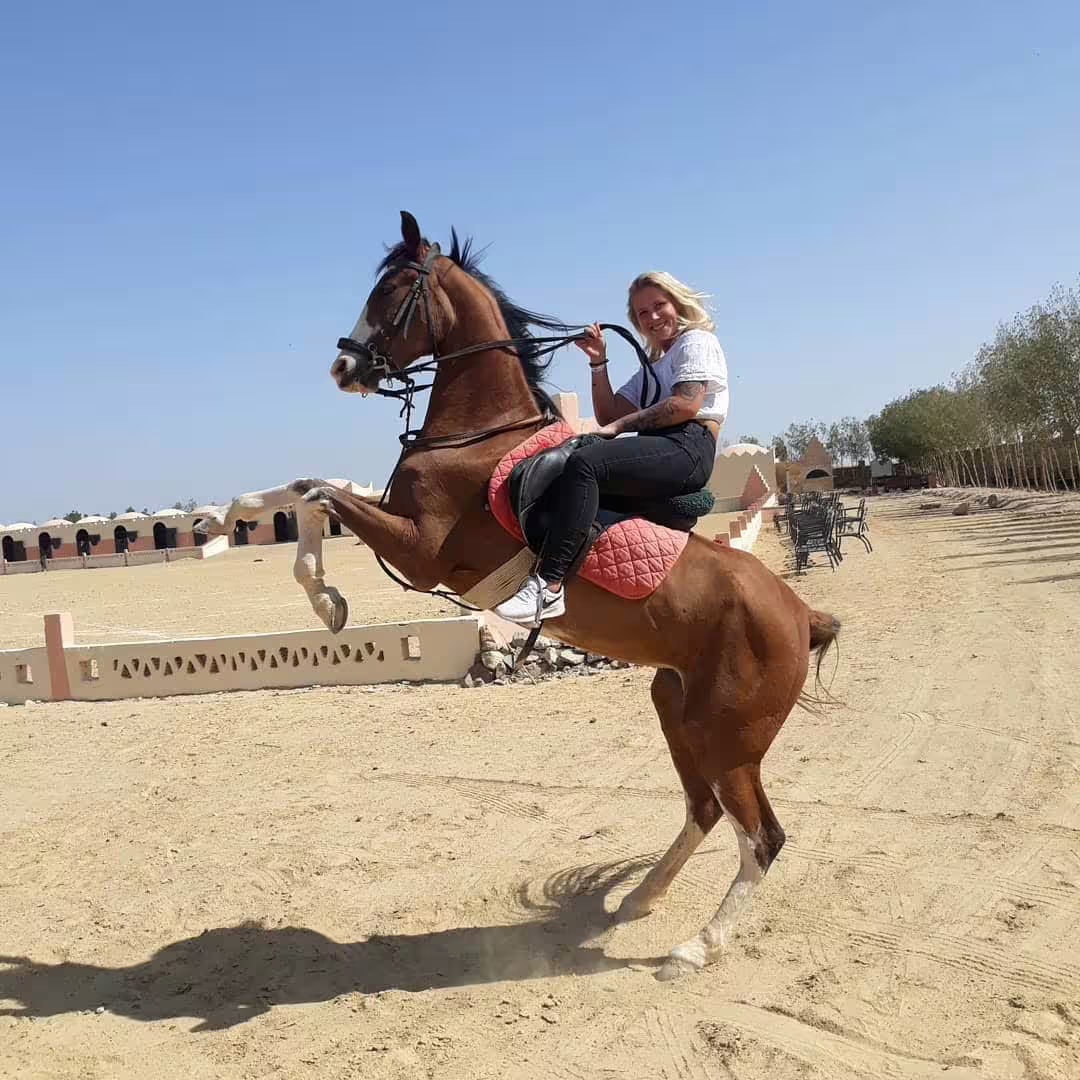 Rider on a rearing horse during Hurghada desert horseback riding tour, combining desert adventure and beach ride