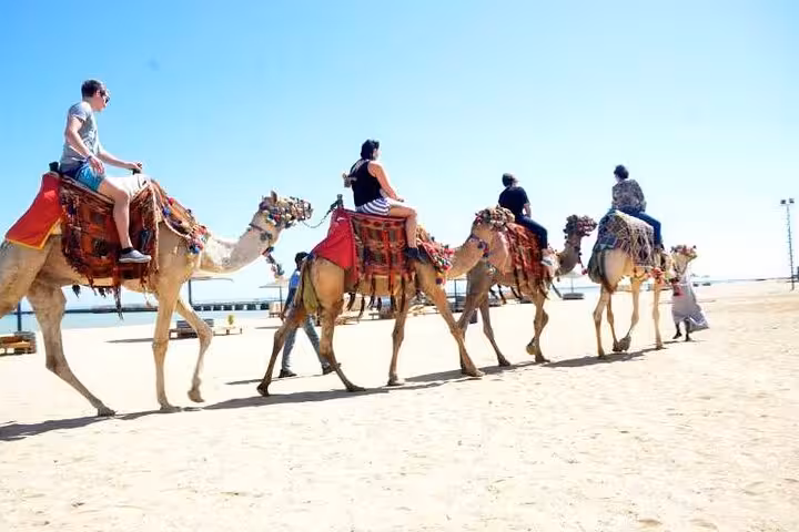 Tourists on camel caravan along Hurghada beach under clear sky, ideal add-on to Red Sea desert safari trips