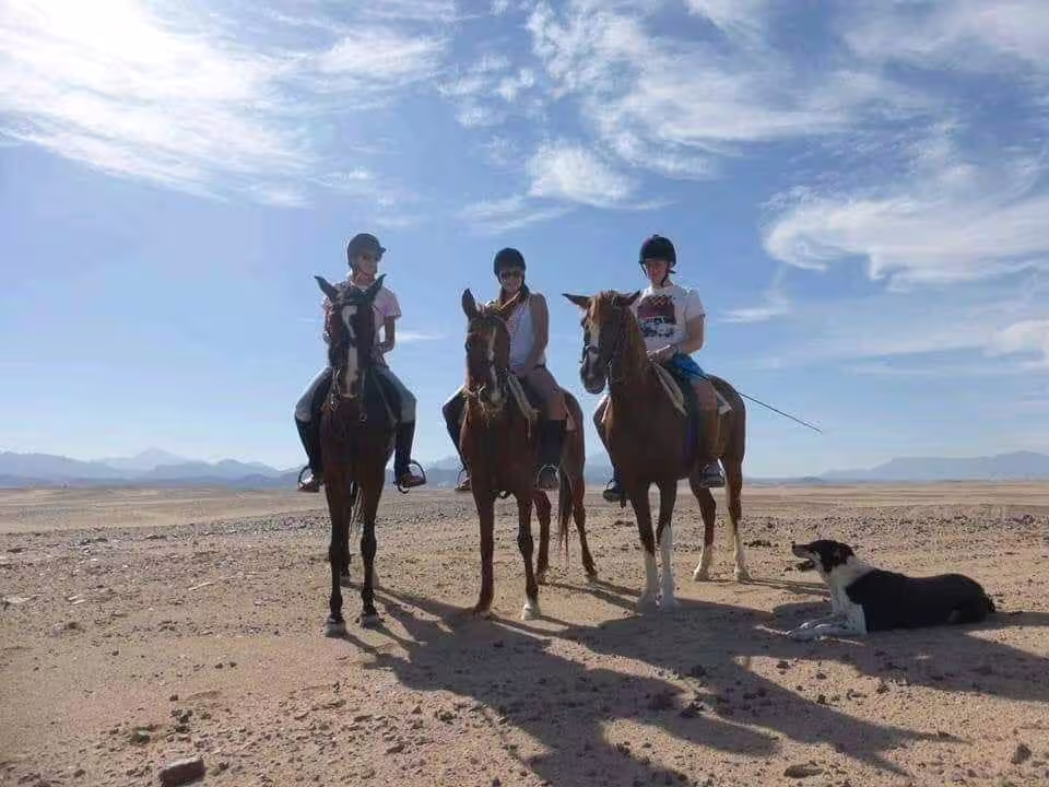 Riders on horseback in Hurghada desert landscape, part of Red Sea desert and beach horse riding excursion
