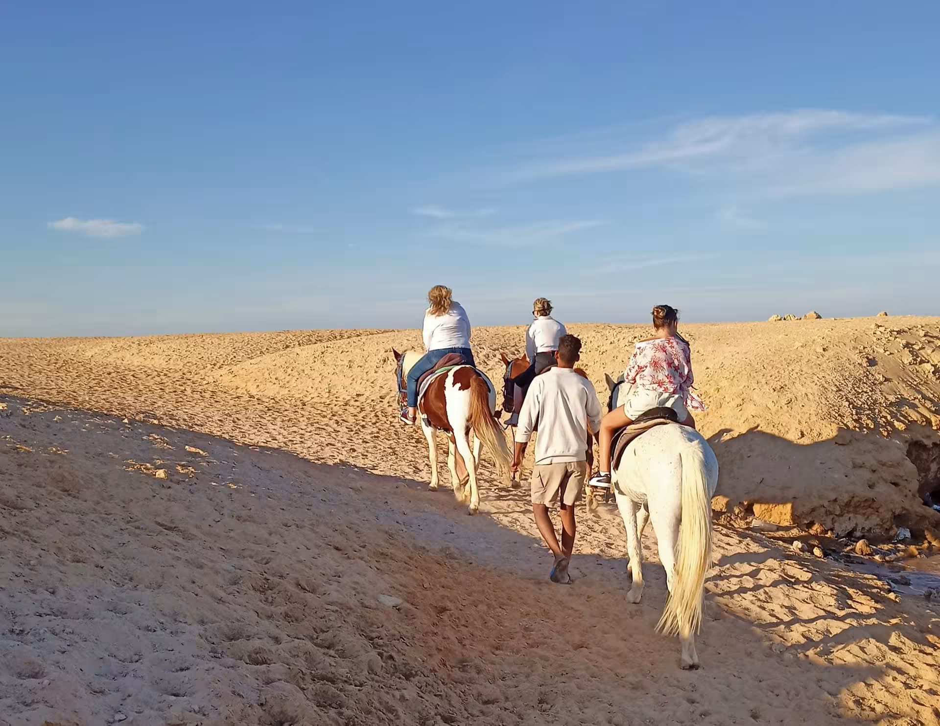 Group horse riding through Hurghada desert dunes, guided trek on a 2-hour desert and sea horseback tour