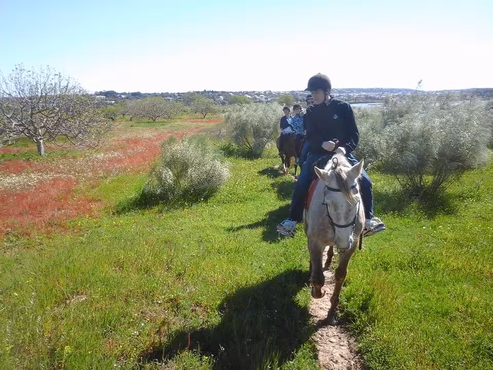 Riders on horses exploring lush green landscapes in Lagoa Dos Salgados, Algarve during a sunny horse riding tour.