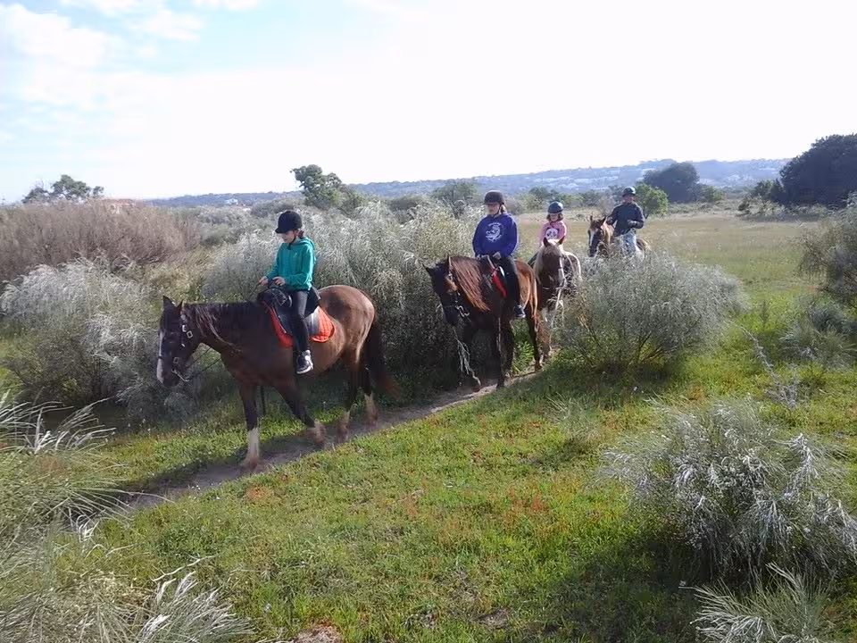 Riders exploring lush green trails on horseback in Lagoa dos Salgados, Algarve, surrounded by natural beauty.