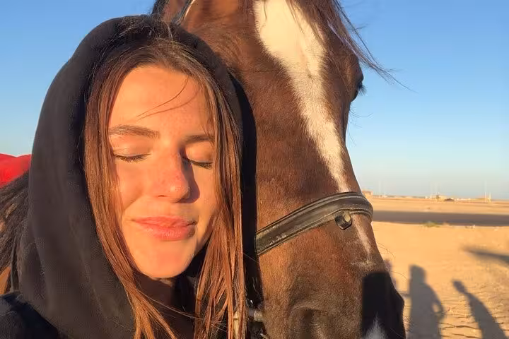 Close-up of rider with horse at sunset on Hurghada desert beach horseback riding tour in Egypt