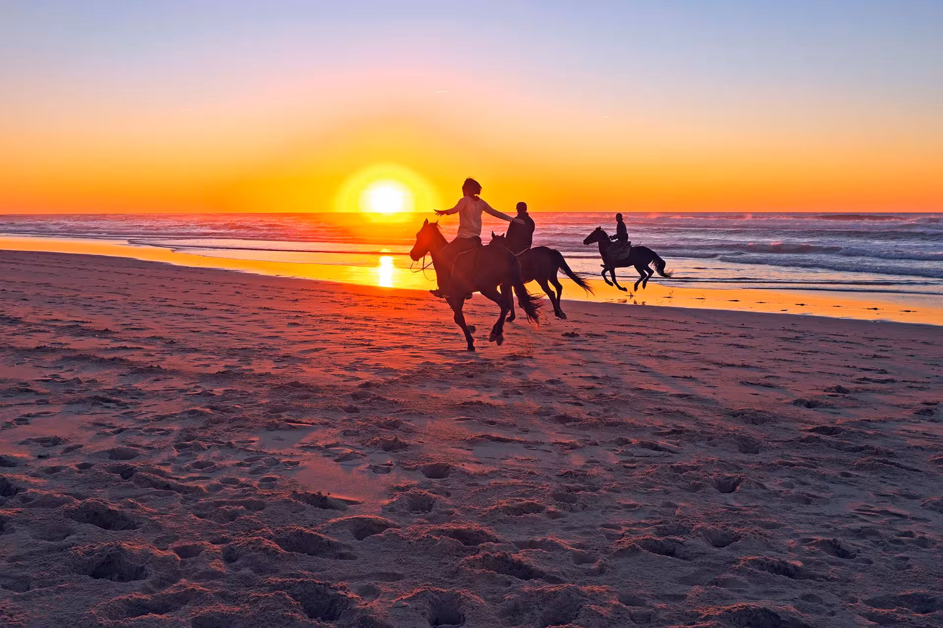 Silhouetted horseback riders on beach at sunset, coastal horse riding tour experience with ocean views and golden sky