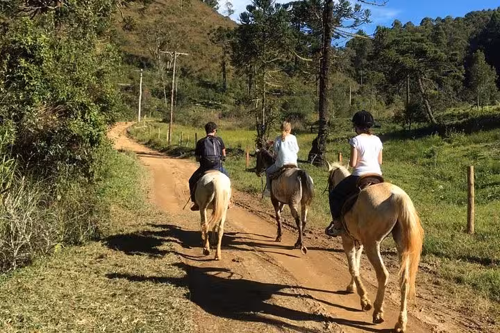 Group of riders exploring serene countryside paths on horseback during Exclusive Horse Experience at Belvedere.
