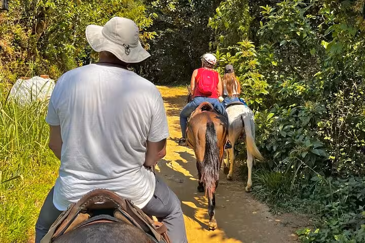 Riders on horseback traverse a sunlit forest trail surrounded by lush foliage during a Paraty Tours adventure.