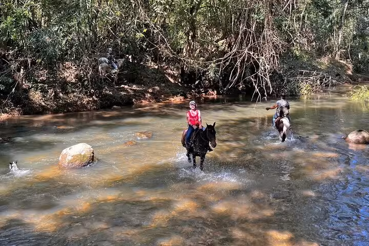 Riders cross a serene stream on horseback in the lush Atlantic forest near Paraty, showcasing adventure and nature.