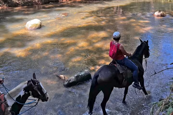 Rider on horseback crossing a serene stream in the lush Atlantic Forest with Paraty Tours.