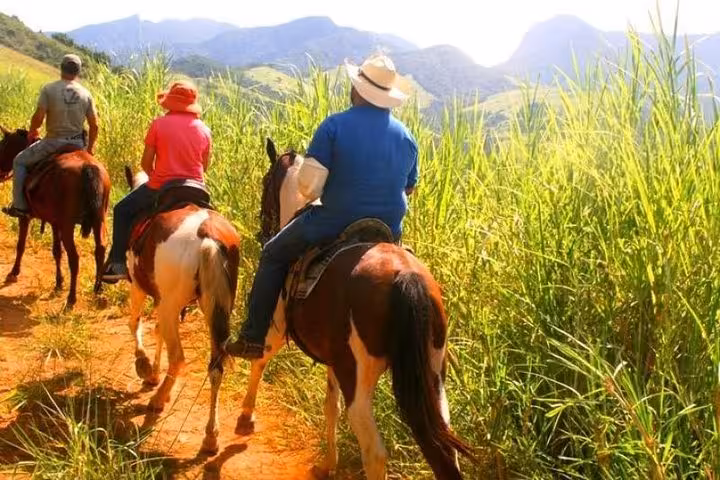 Group of horseback riders exploring the vibrant landscapes of the Atlantic Forest under the sun with Paraty Tours.