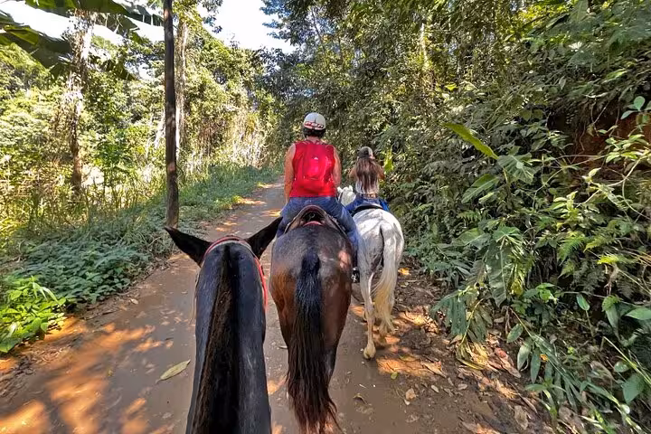 Riders enjoying a scenic trail in the lush Atlantic Forest on a horseback tour with Paraty Tours.