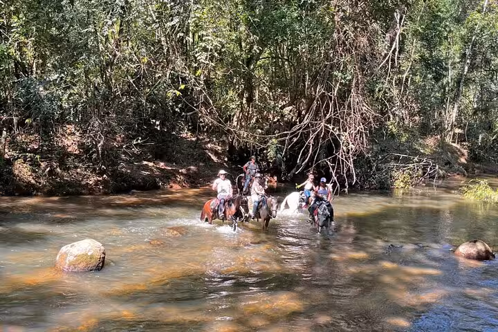 Group of riders crossing a serene river on horseback in the picturesque Atlantic Forest tour.