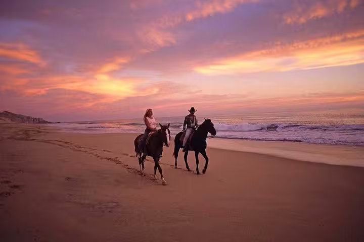 Riders on horses at Djerba Lagoon beach during a vibrant sunset, perfect for a relaxing ride.