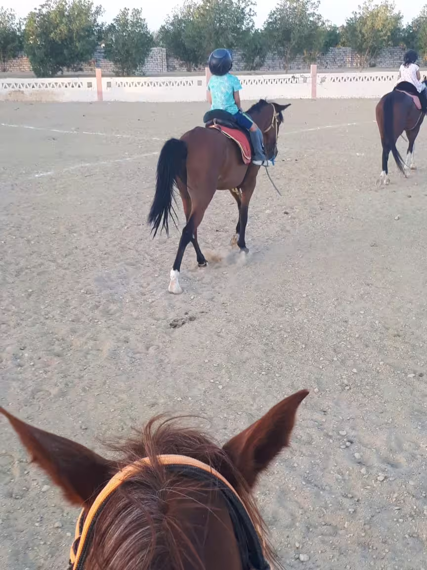 POV horseback ride in Marsa Alam desert arena with guided group, ideal for beginners and families