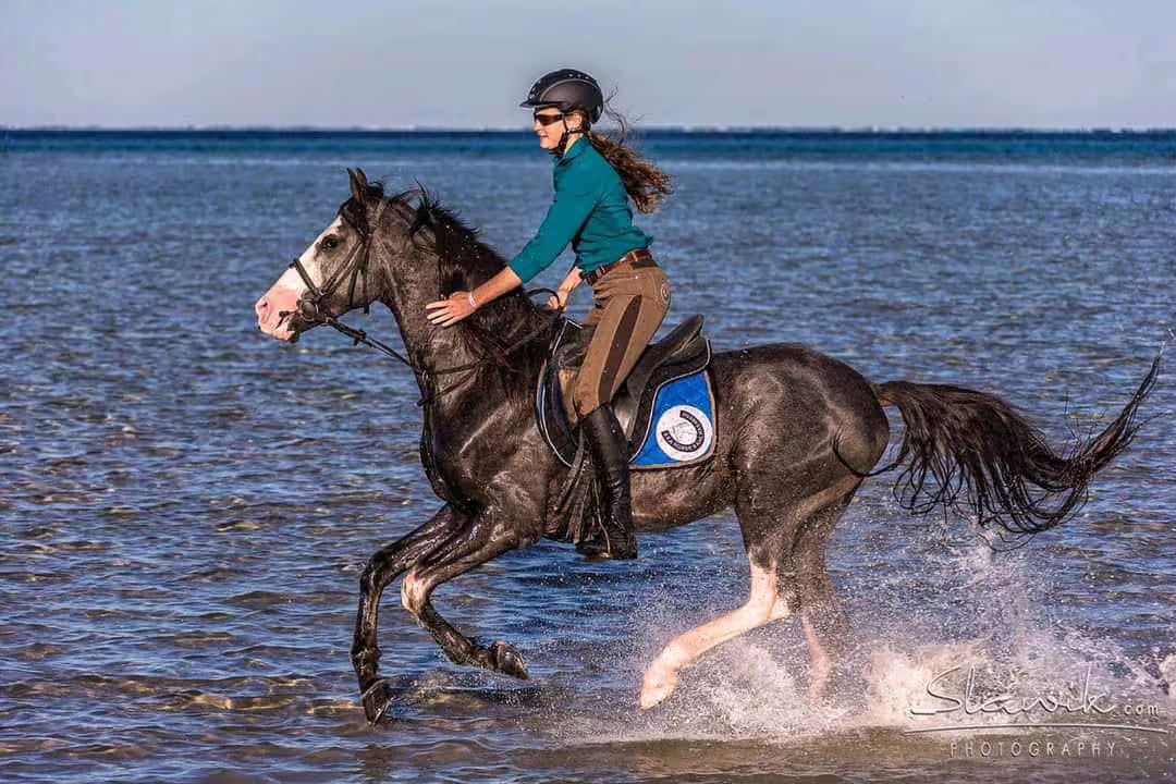 Rider galloping through Red Sea shallows on a Marsa Alam beach horseback riding adventure at sunset