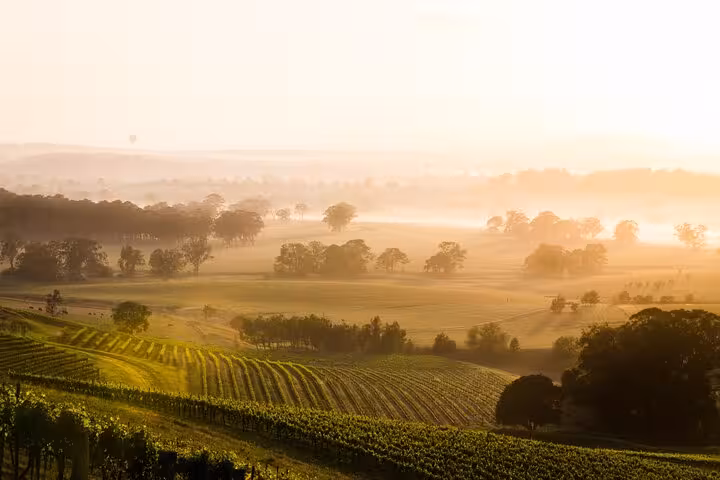 Breathtaking sunrise over Hunter Valley vineyards, offering a serene backdrop for premium winery tours.