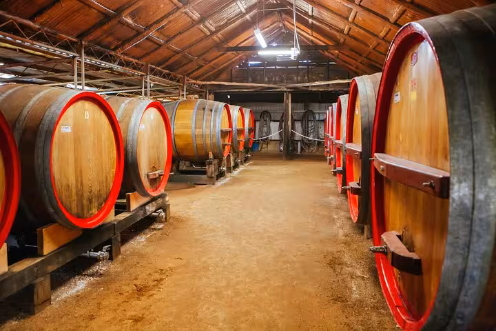 Rustic wine cellar with rows of large oak barrels at Hunter Valley Winery, ideal for private tours.