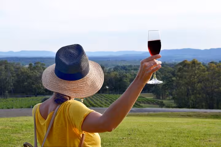 Visitor enjoying a glass of red wine overlooking the scenic vineyards at Hunter Valley Winery.