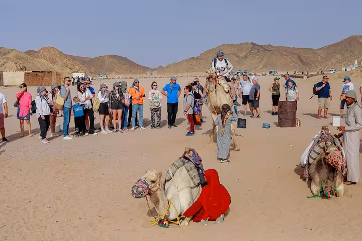 Tourists watching camel ride at Hurghada desert camp, family safari quad jeep Bedouin life dinner shopping
