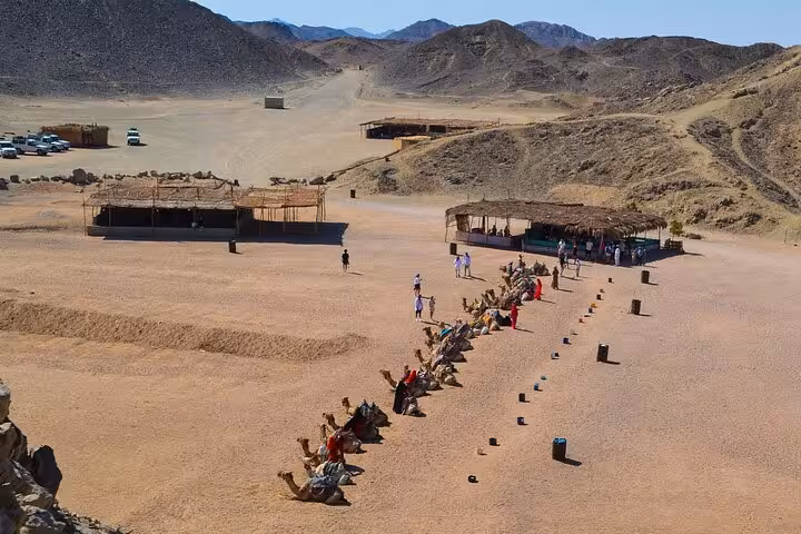 Hurghada desert camp with camel line and Bedouin tents, family safari quad and jeep with dinner and shopping