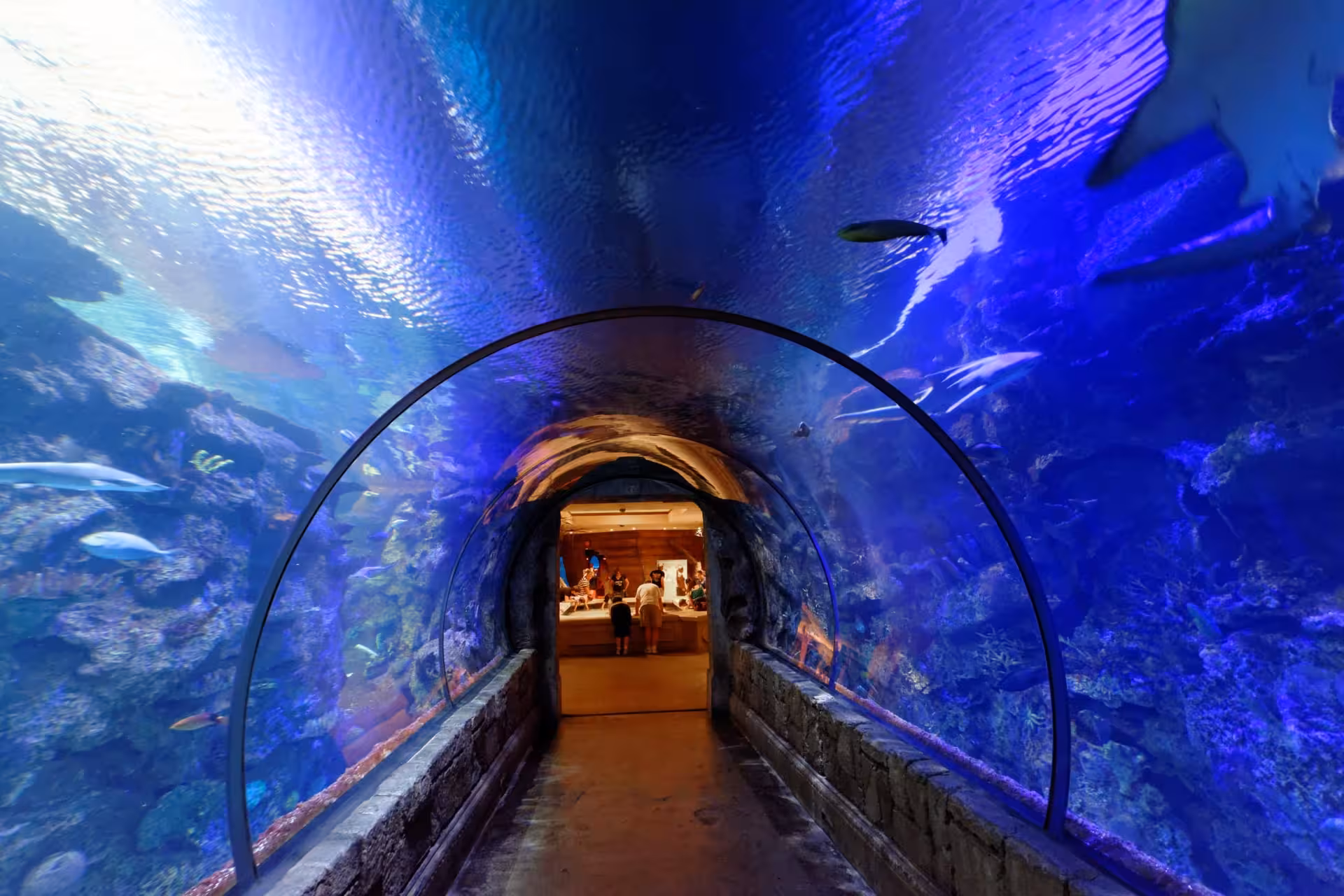 Hurghada Grand Aquarium ocean tunnel leading to exhibits with sharks and coral reef, fast entry tickets