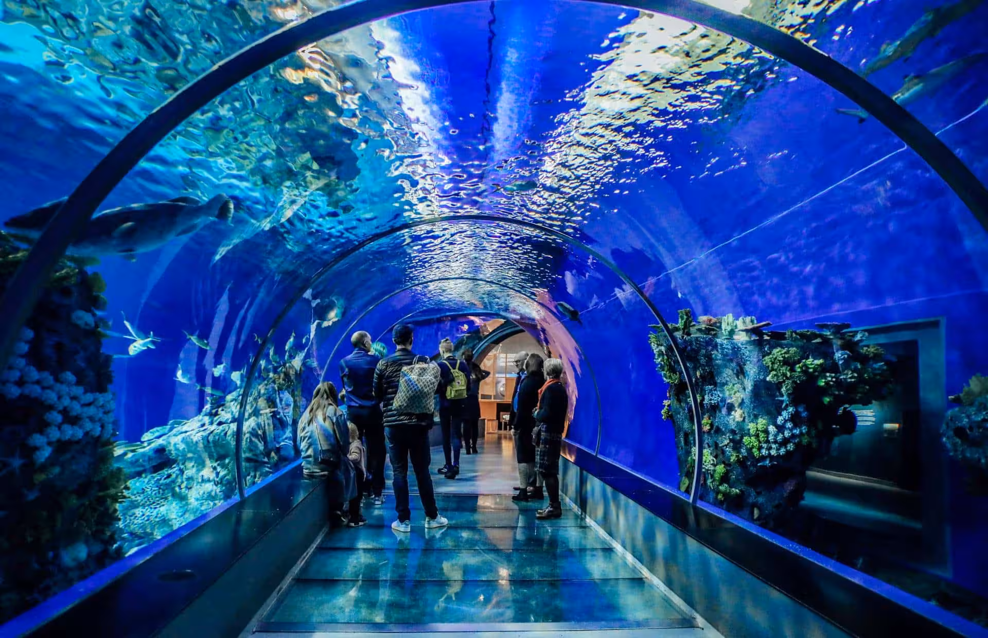Visitors in Hurghada Grand Aquarium underwater tunnel with sharks and reef fish, skip-the-line tickets