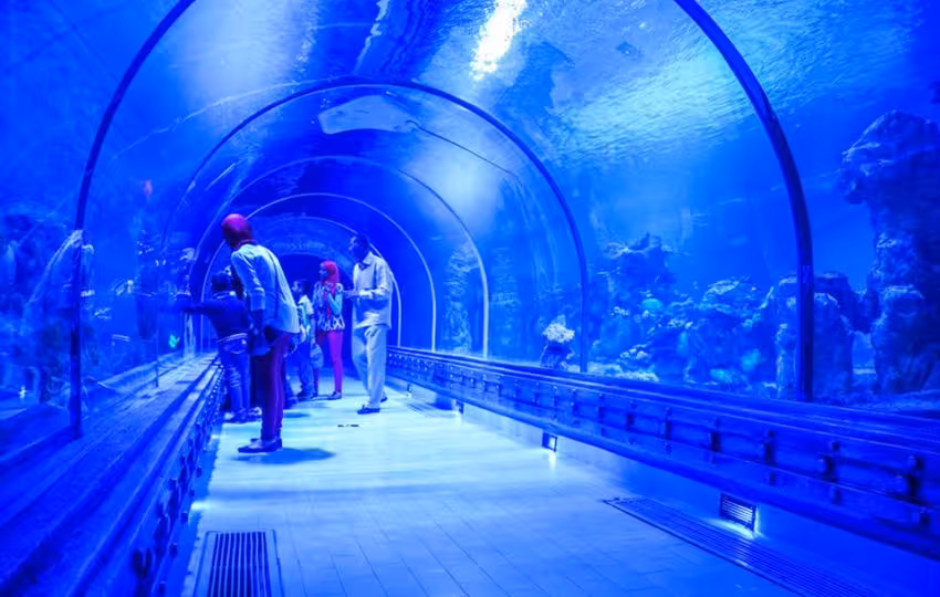 Guests viewing marine life in Hurghada Grand Aquarium underwater tunnel, family-friendly Red Sea attraction tickets