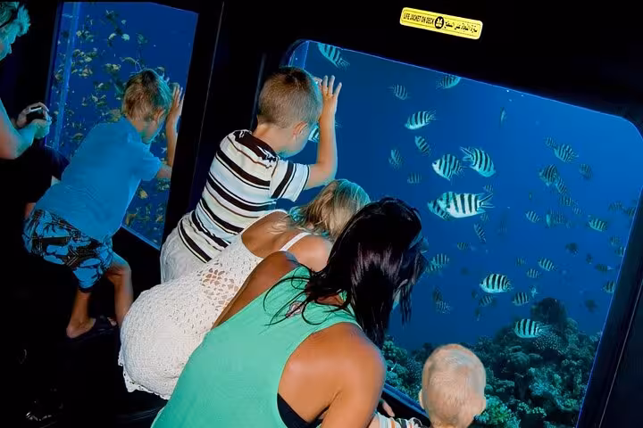 Kids and parents watching striped reef fish on Hurghada Royal Seascope submarine cruise, Red Sea coral views