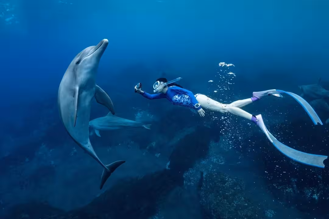 Snorkeler swimming with dolphin in Hurghada Red Sea near Eden Island, unforgettable marine life encounter